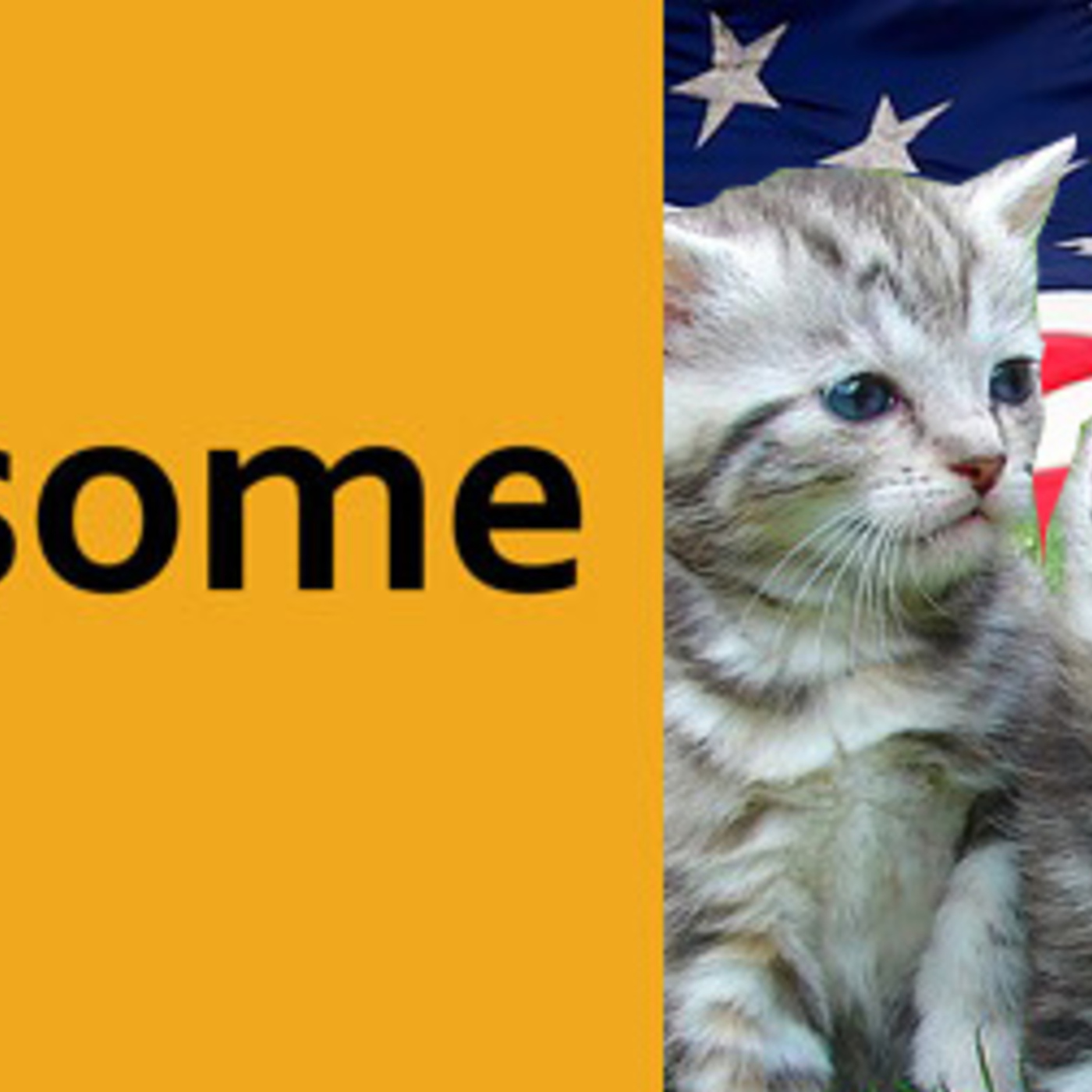 Make America Kittens Again | AwesomeCast 333