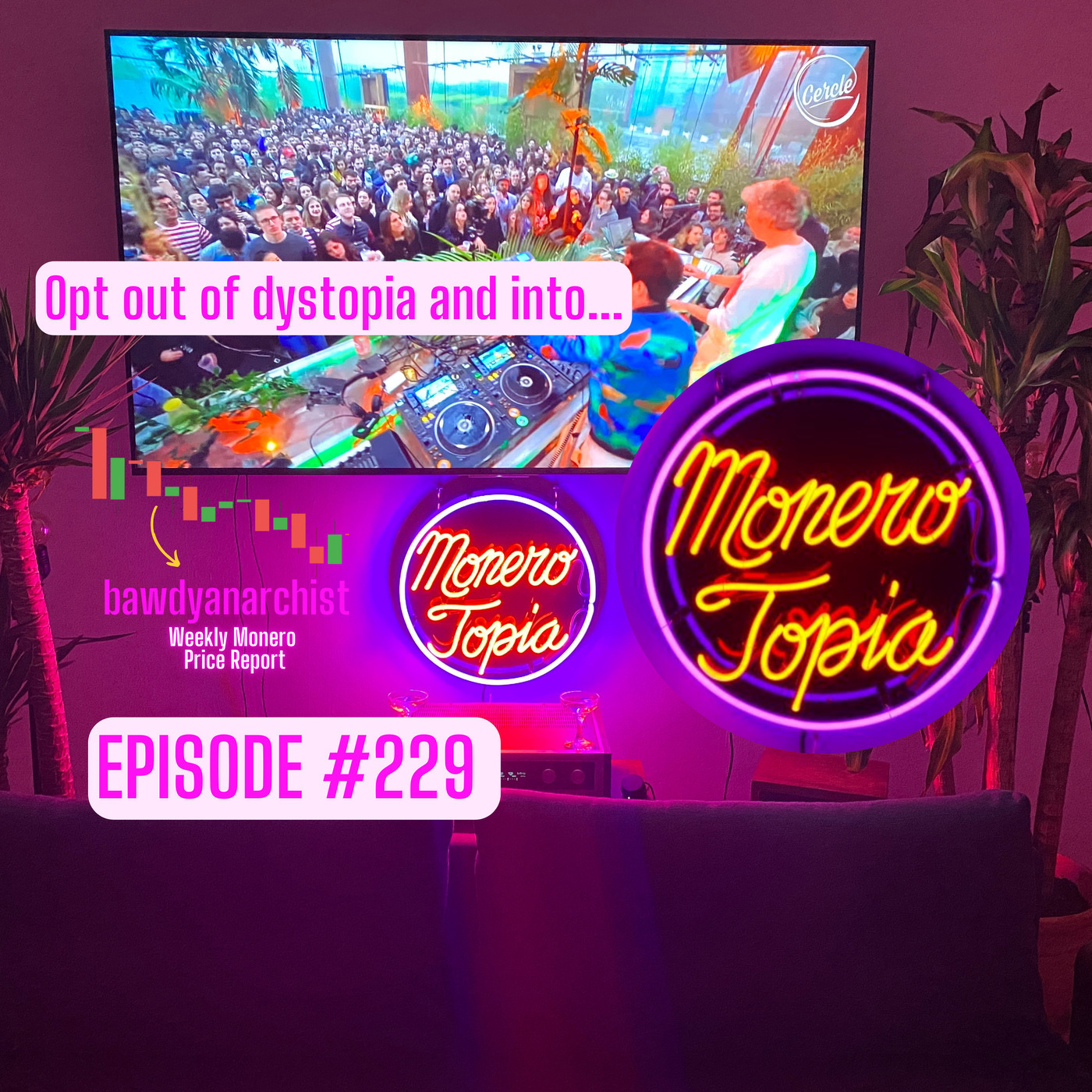 MoneroTopia Episode EPI 229! Price Report, News of the week & More! | EPI 229