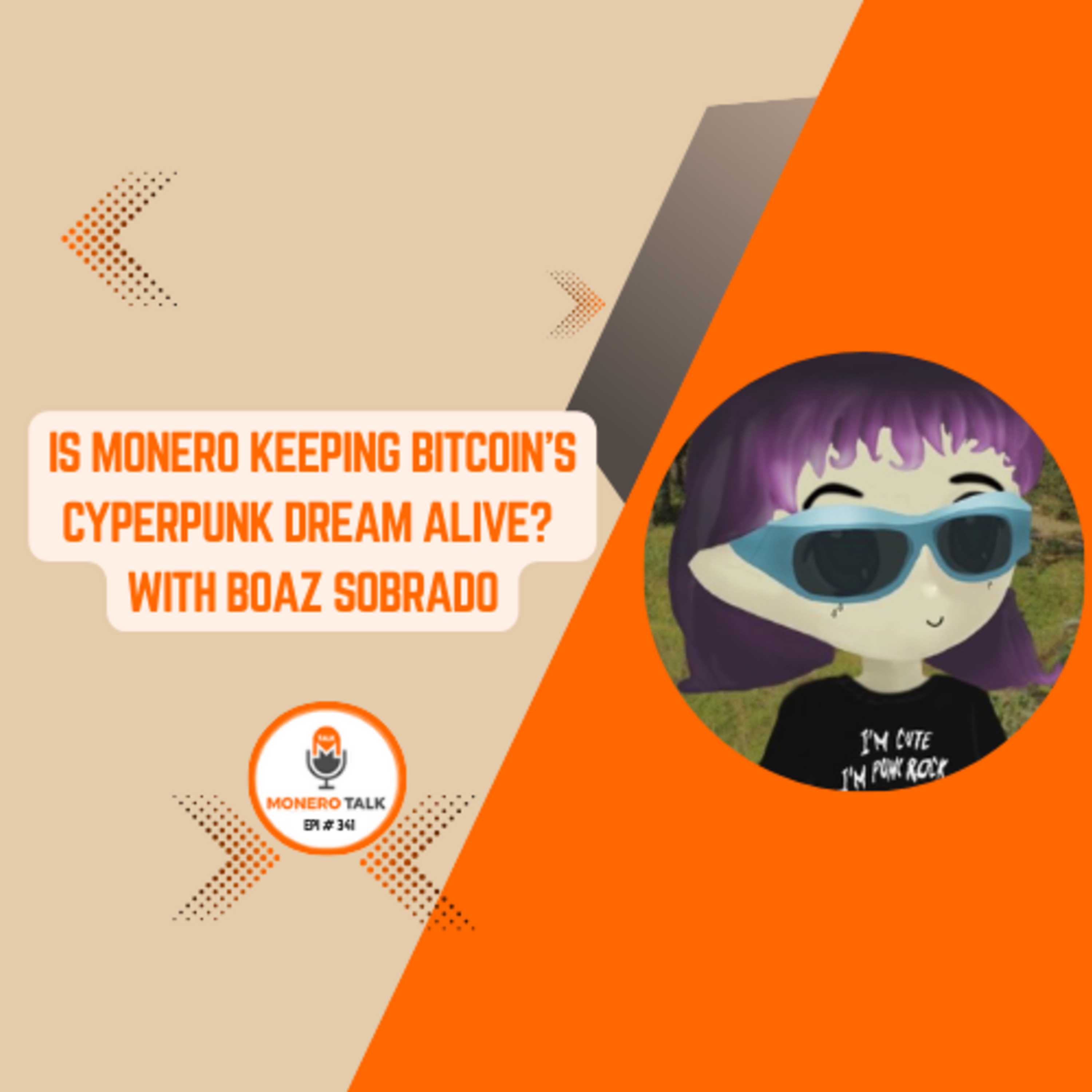 Is Monero keeping Bitcoin’s Cyperpunk Dream Alive? With Boaz Sobrado | EPI 341