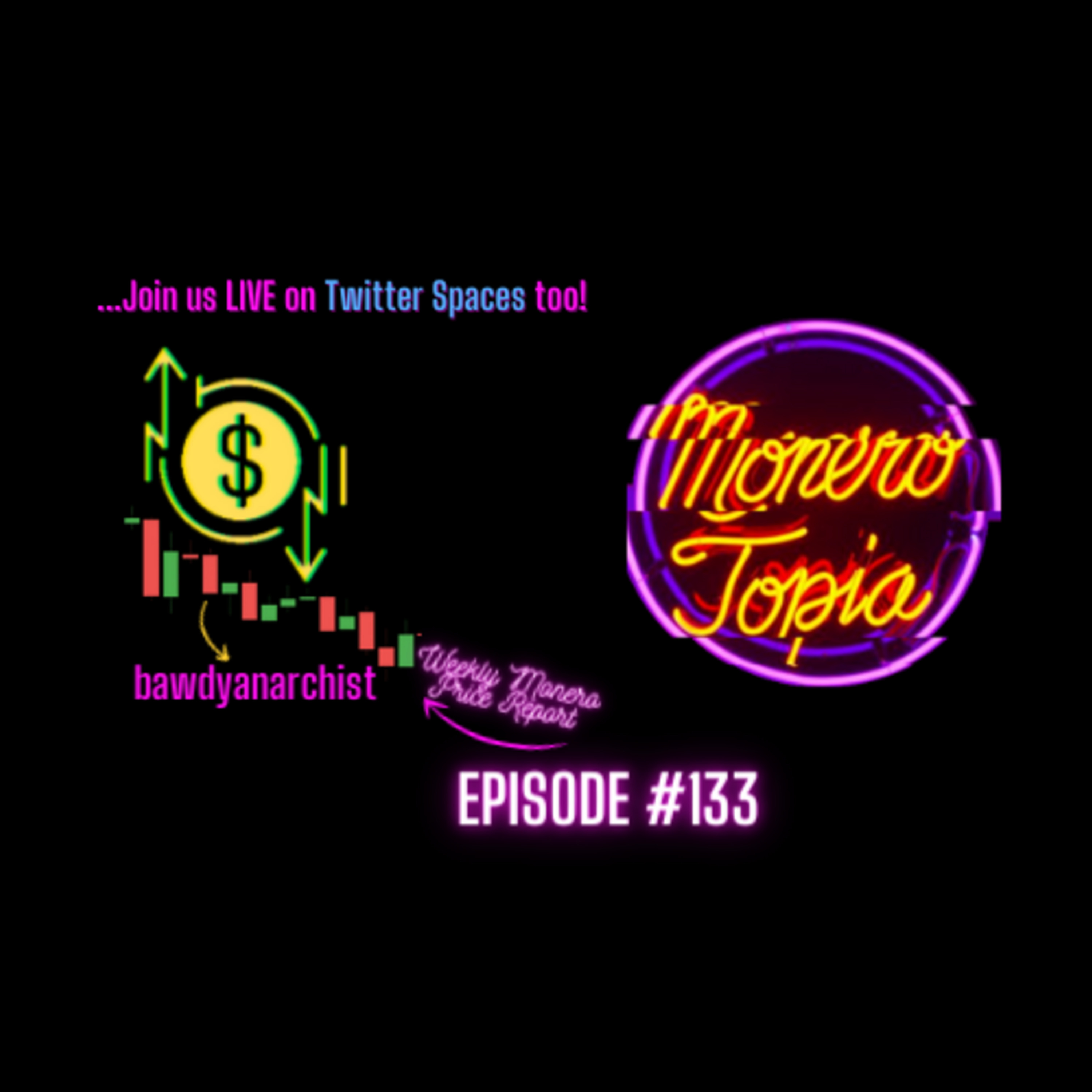 Price Report, Dev Segment, Monero News & MORE! MoneroTopia EPI #133