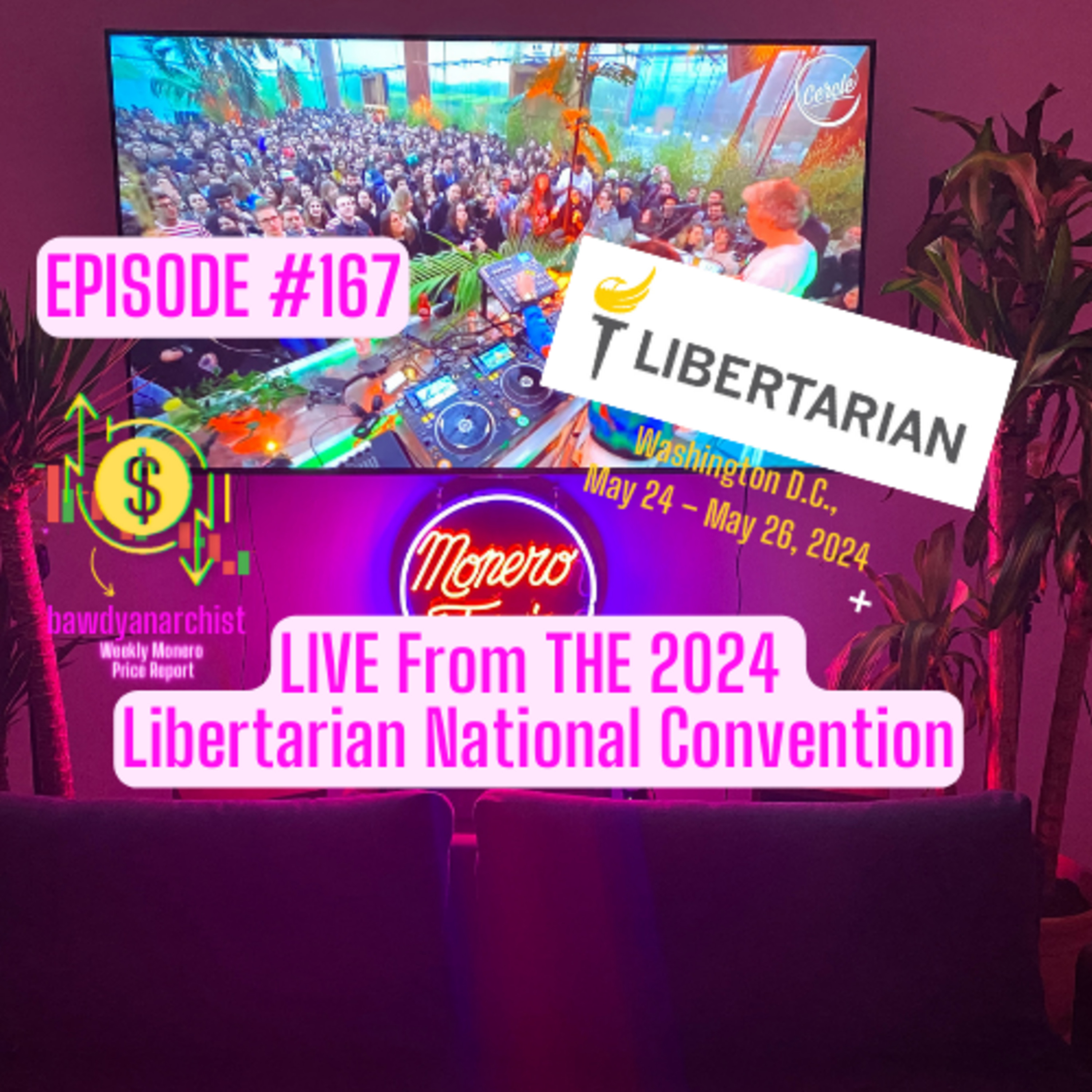 LIVE from the 2024 Libertarian National Convention in DC! | EPI 167