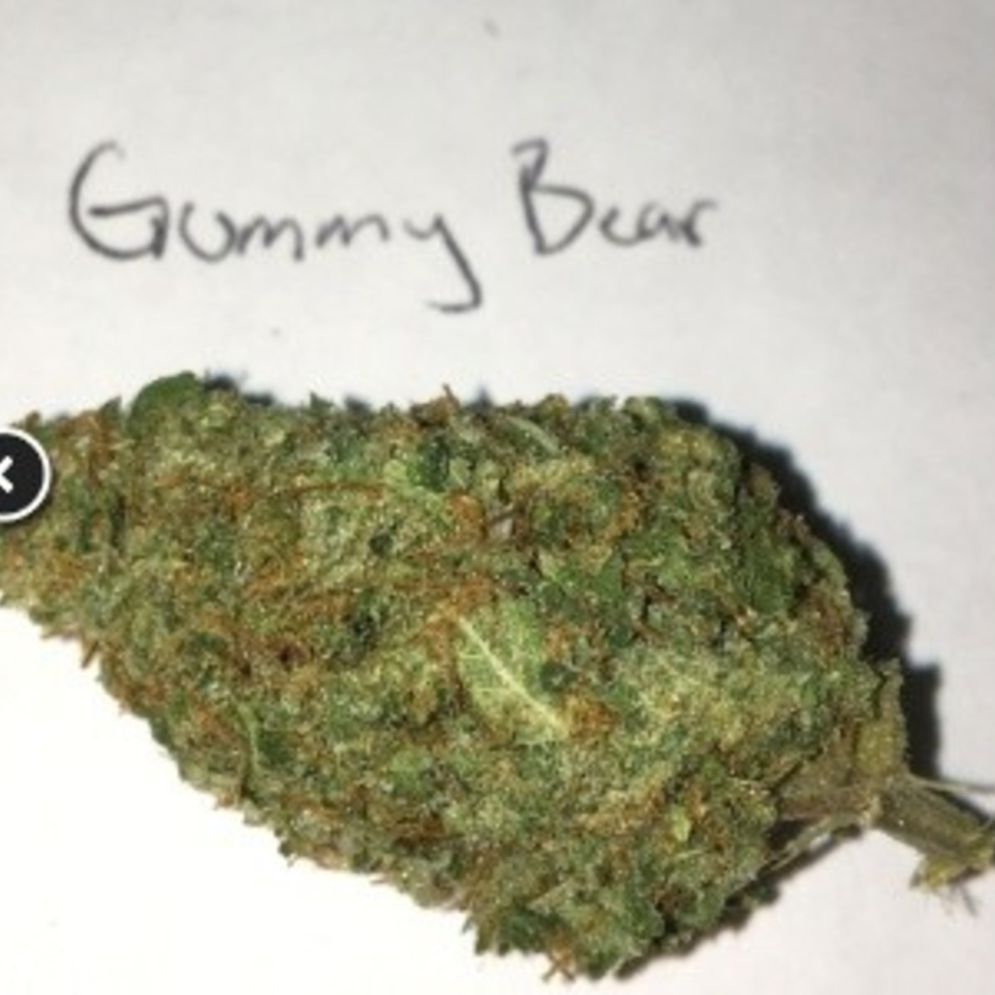 Garbagecast - 162 - Pot Spot 2 Violator and Gummy Bear OG
