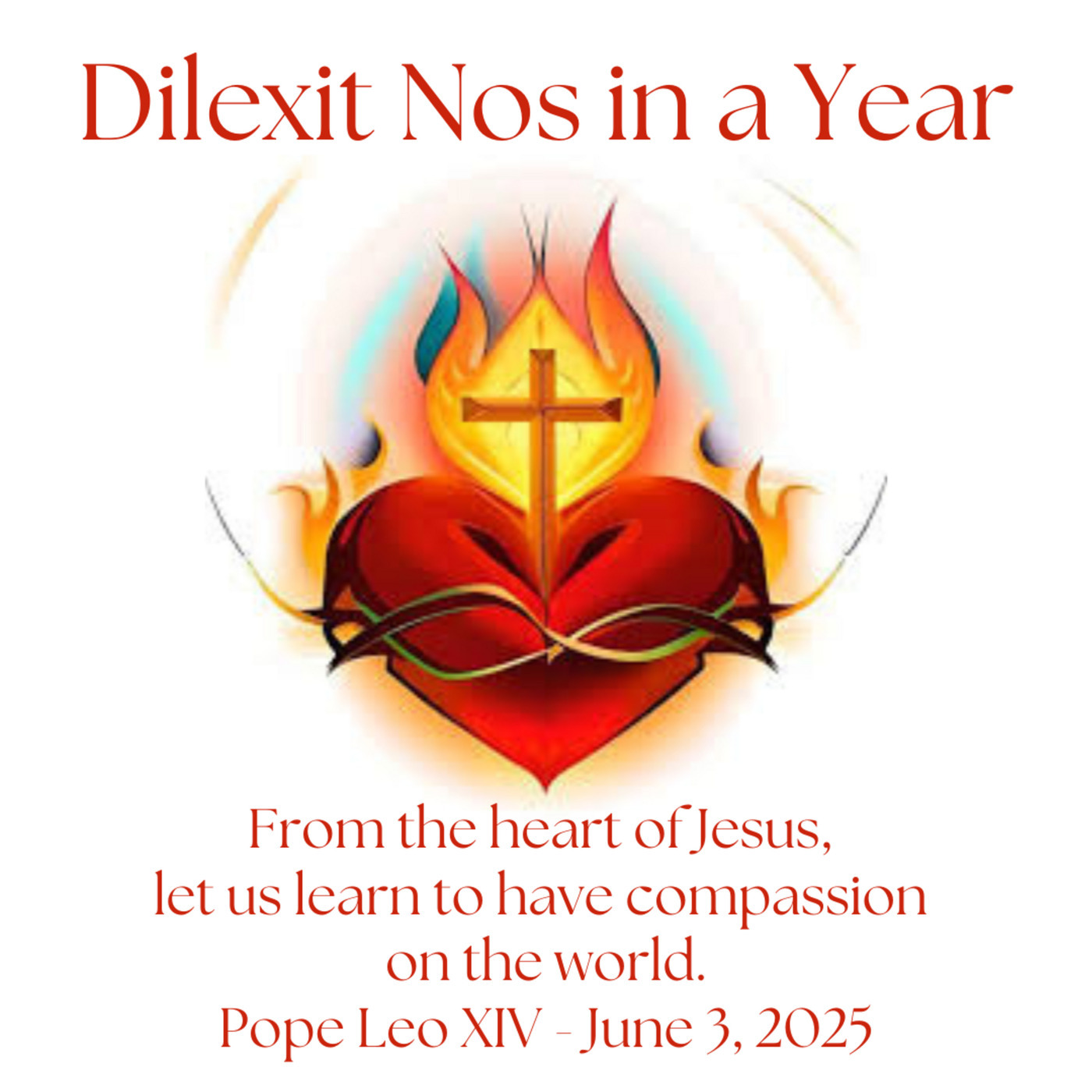 Dilexit Nos in a Year - Session 20 - Further Reflections and Relevance for our times (1 of 2)