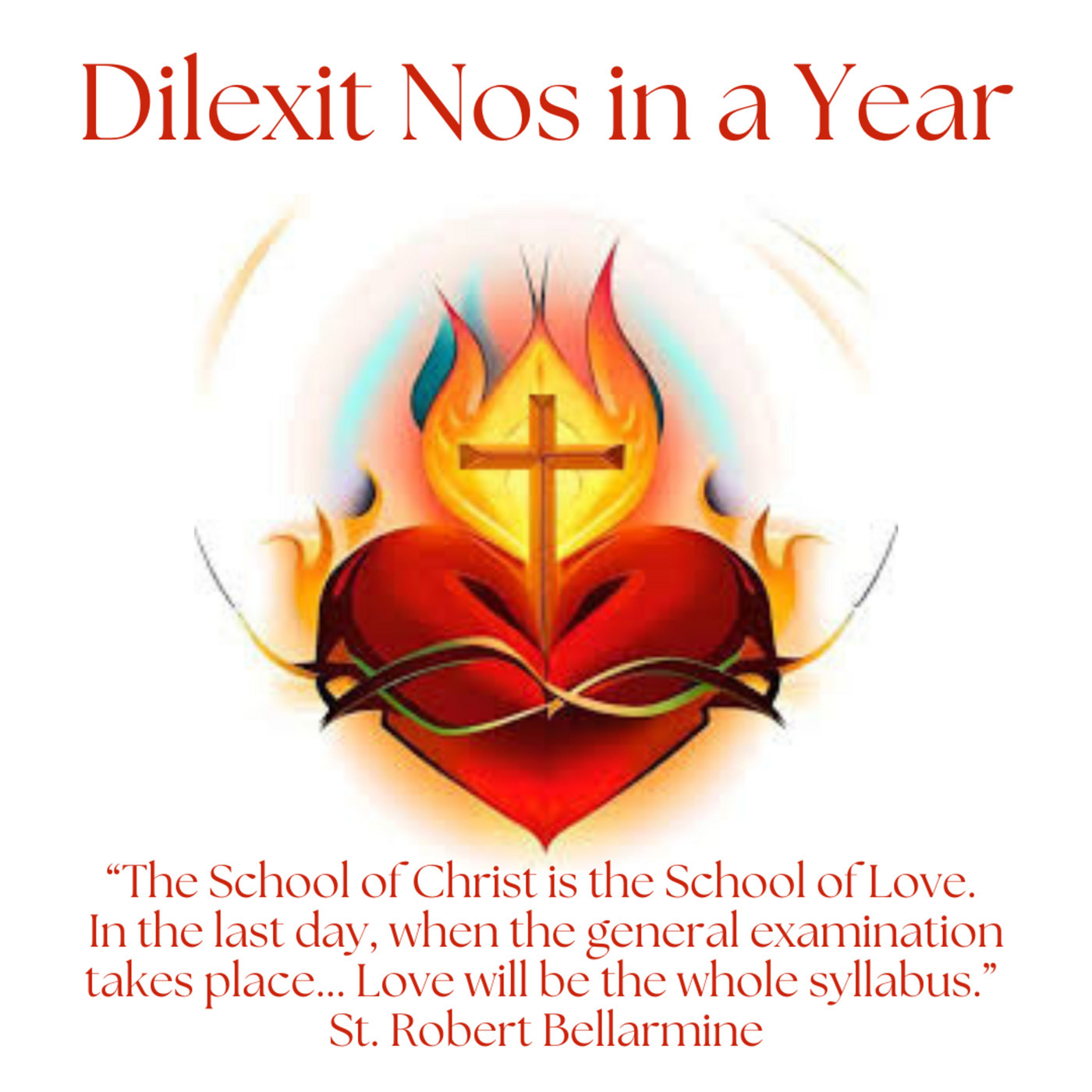 Dilexit Nos in a Year - What is it? 
