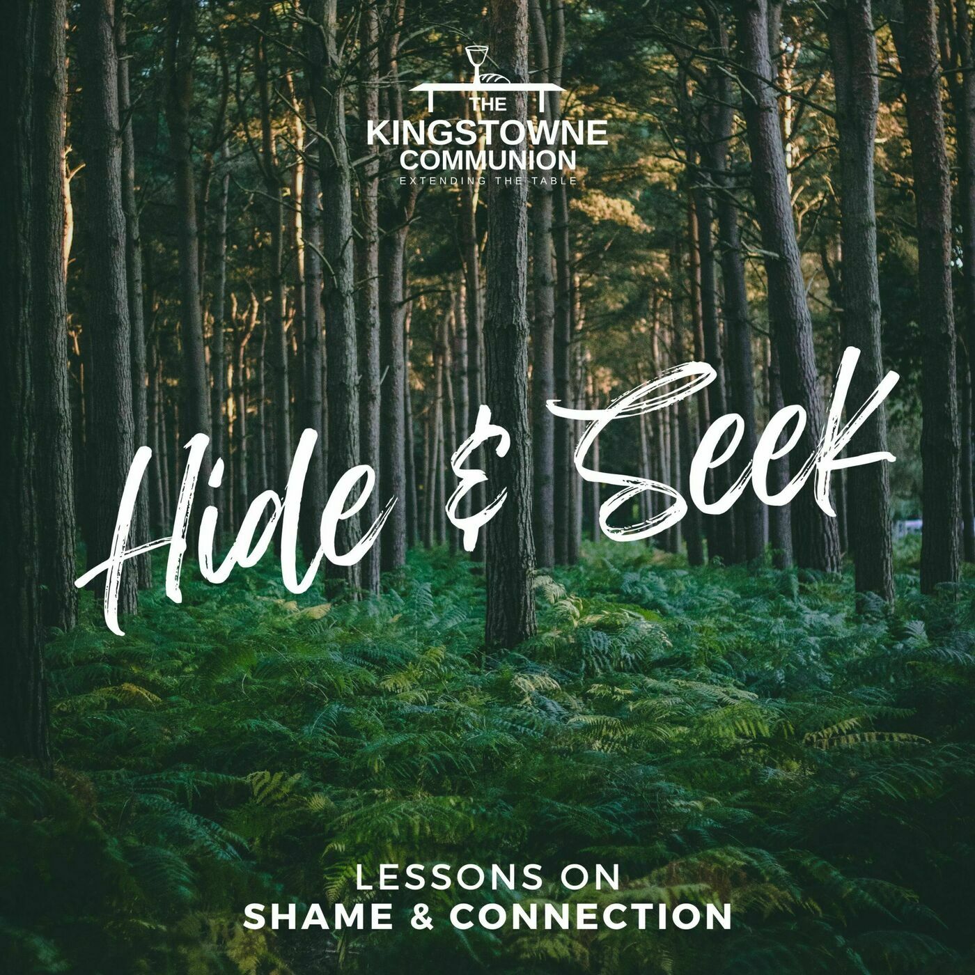 Hide & Seek (Wk 3): Shameless Transformation