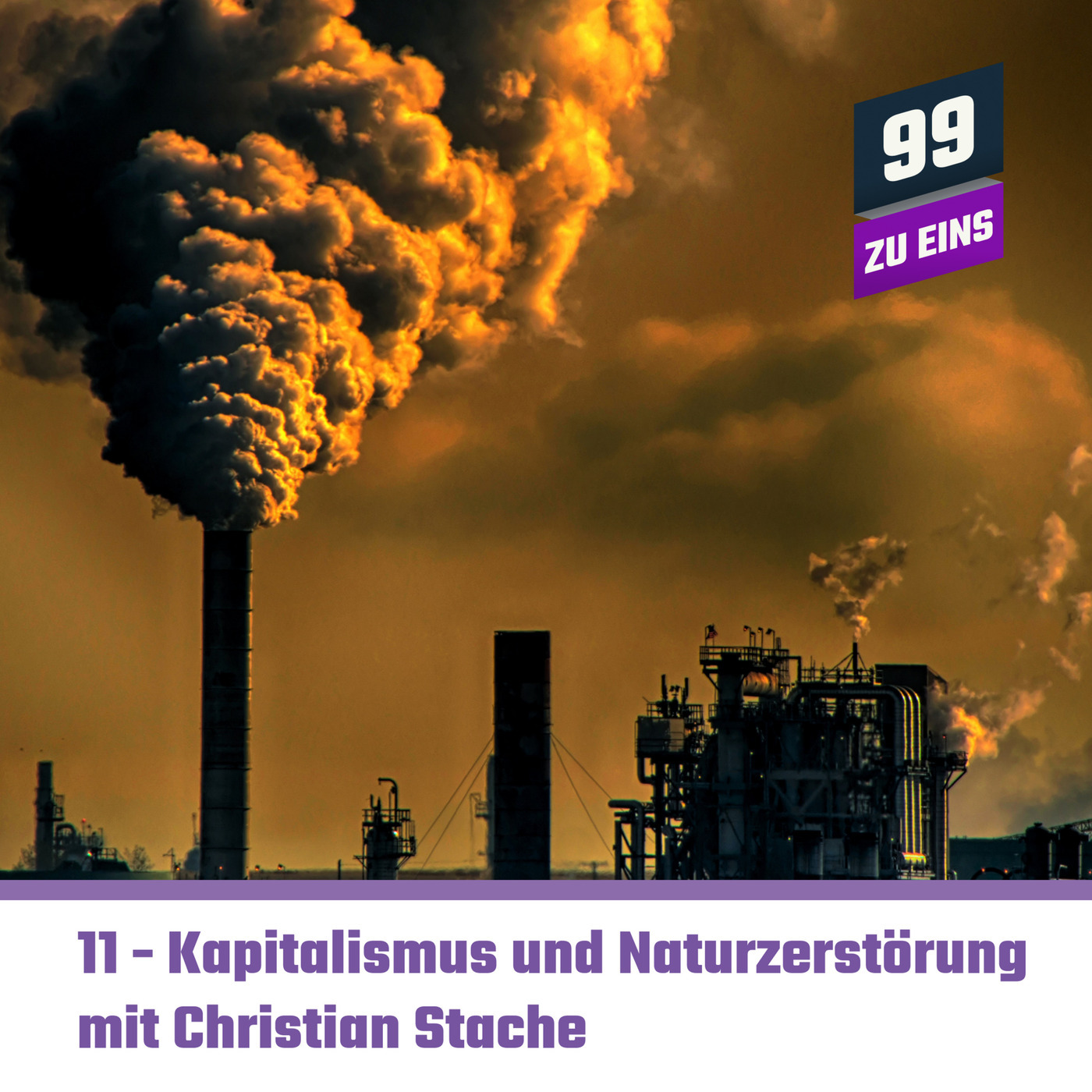 [DOPPELPACK]  Kapitalismus und Naturzerstörung mit Christian Stache