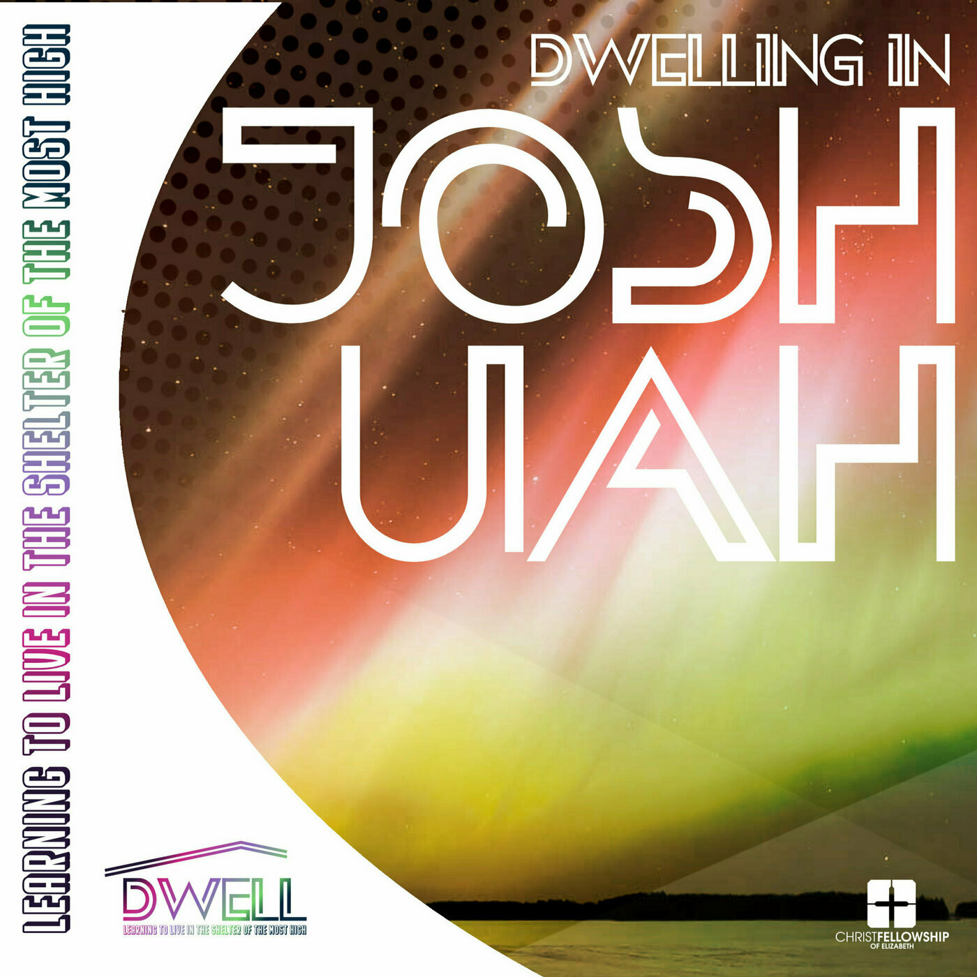 "Dwelling in Joshua" :: Carlos Cedeño