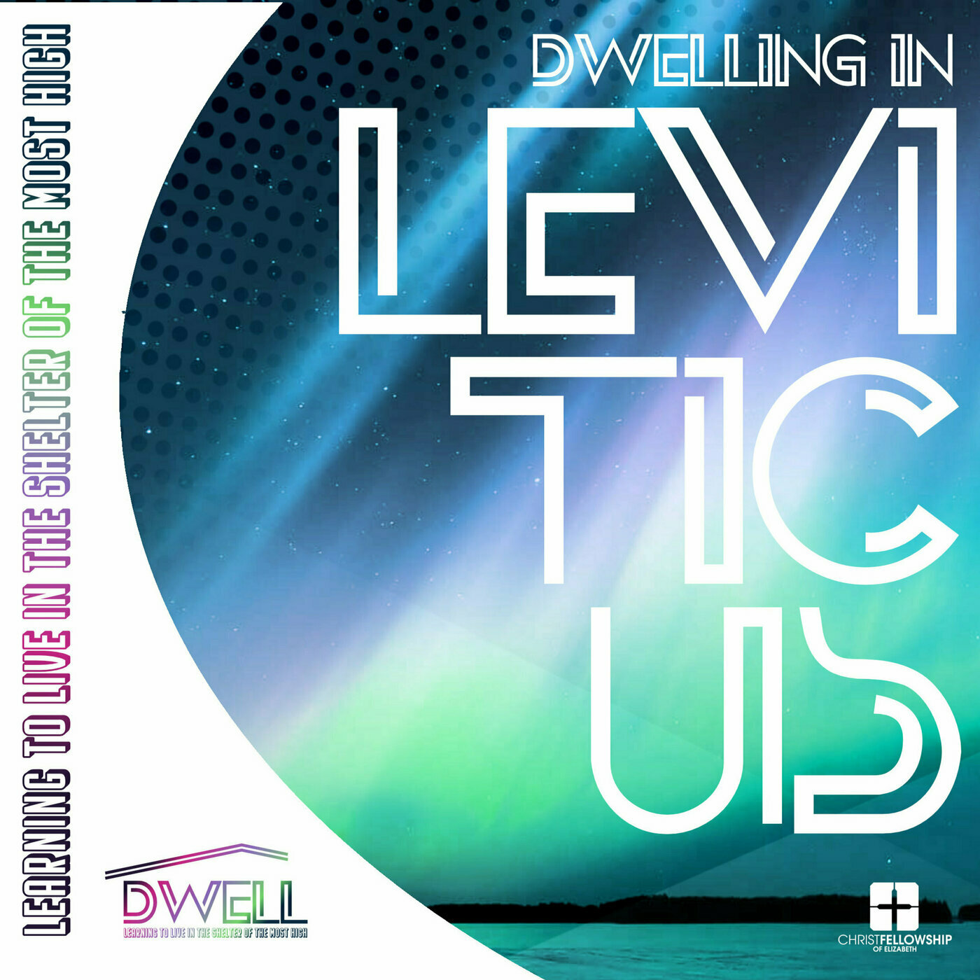"Dwelling in Leviticus" :: Debbie Schwartz