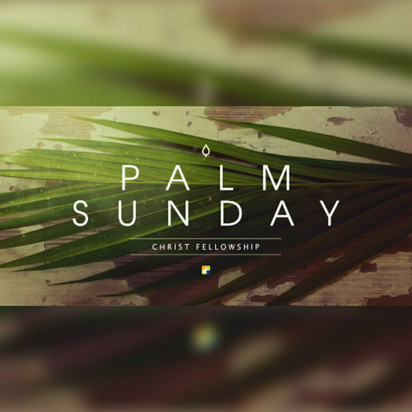 "Palm Sunday 2024" :: Diana Nelson