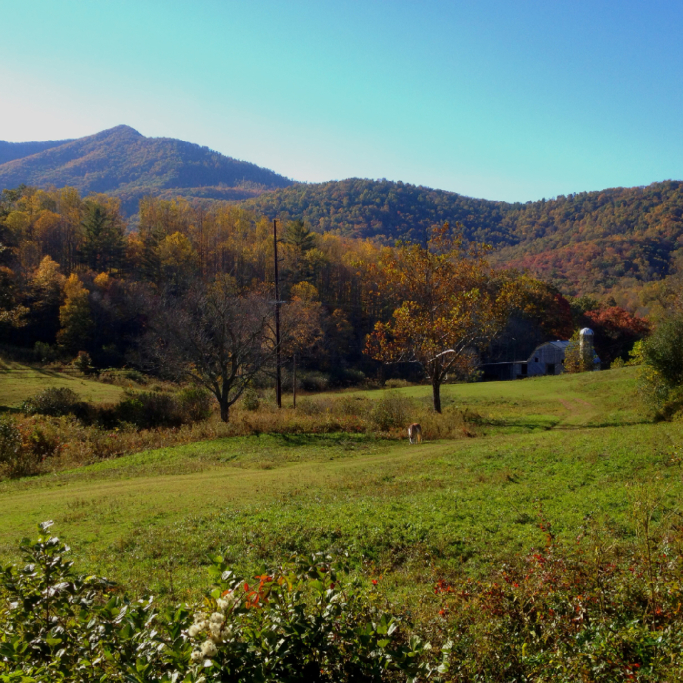 Our Day with The Mountain Prophet - Part 1