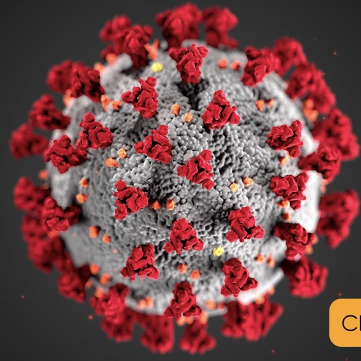 Coronavirus  Doomsday?? Update with Dr. Dan