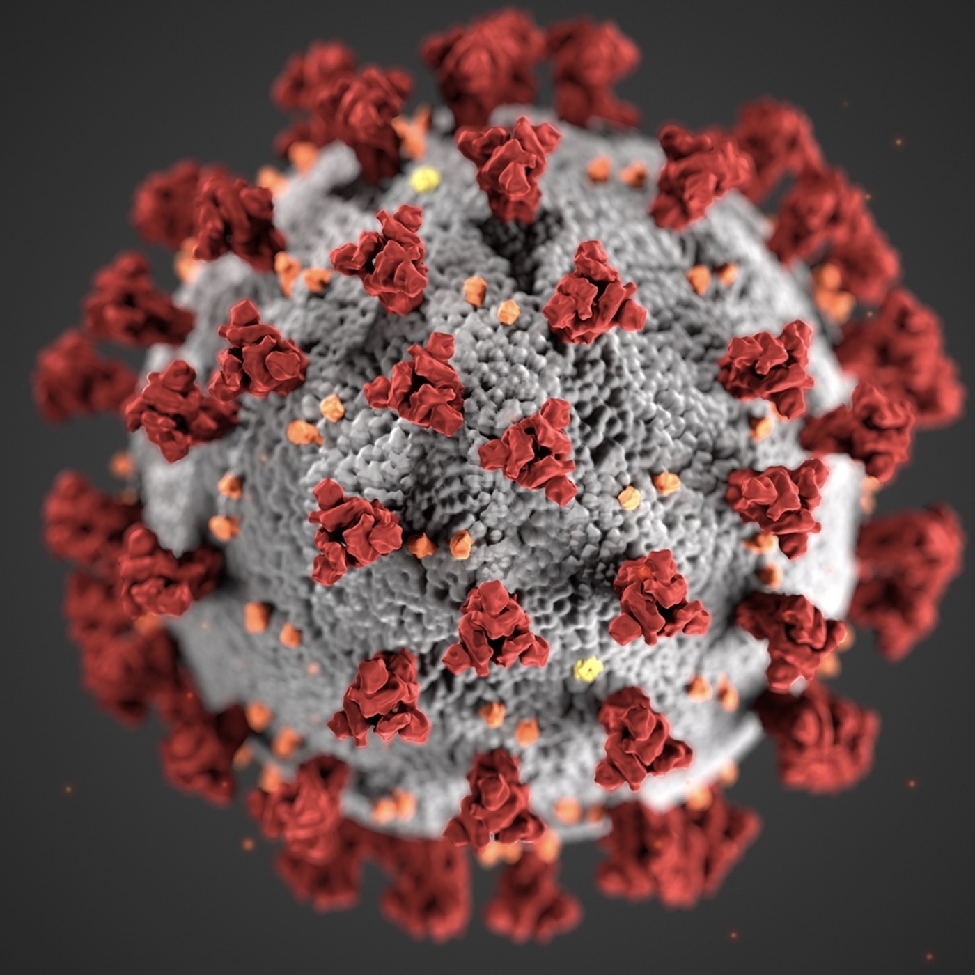 Coronavirus: Fake News, Plagues, and Prophecy