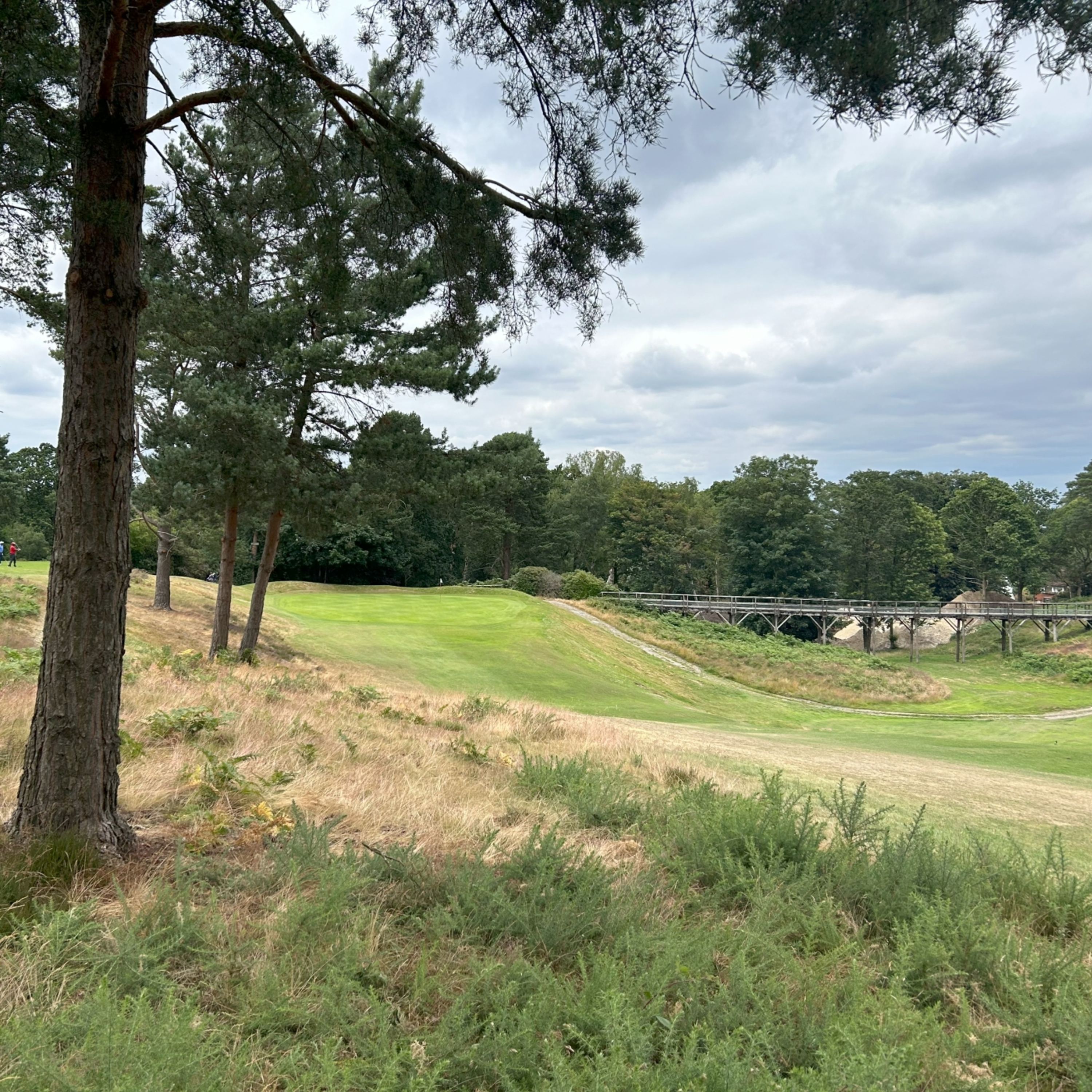 The Firm & Fast Golf Podcast