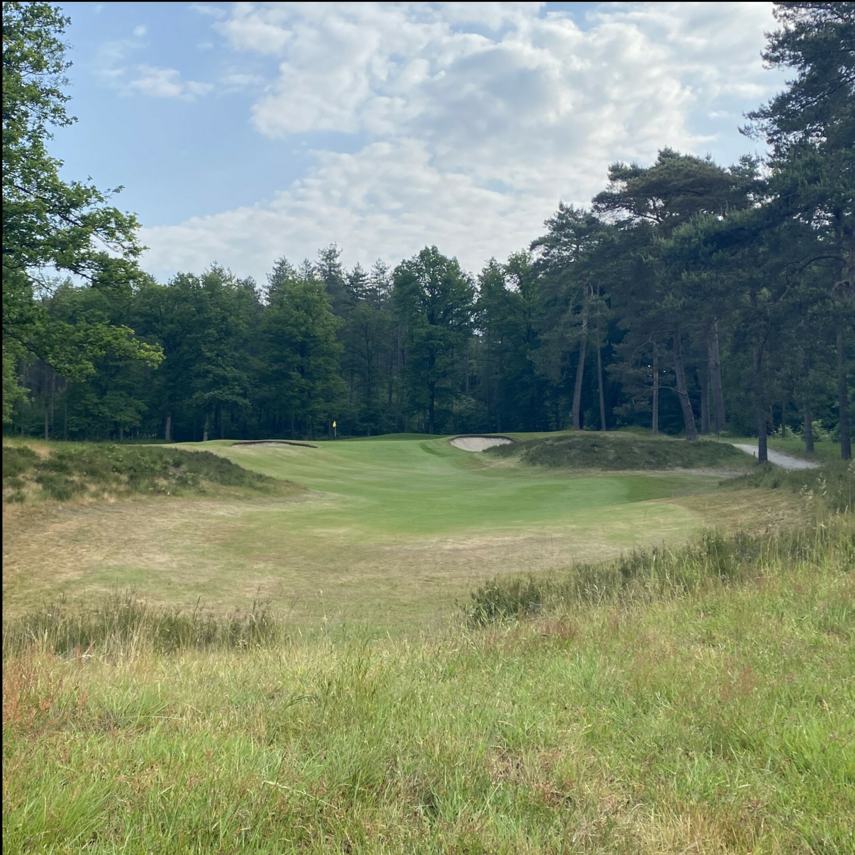 The Firm & Fast Golf Podcast
