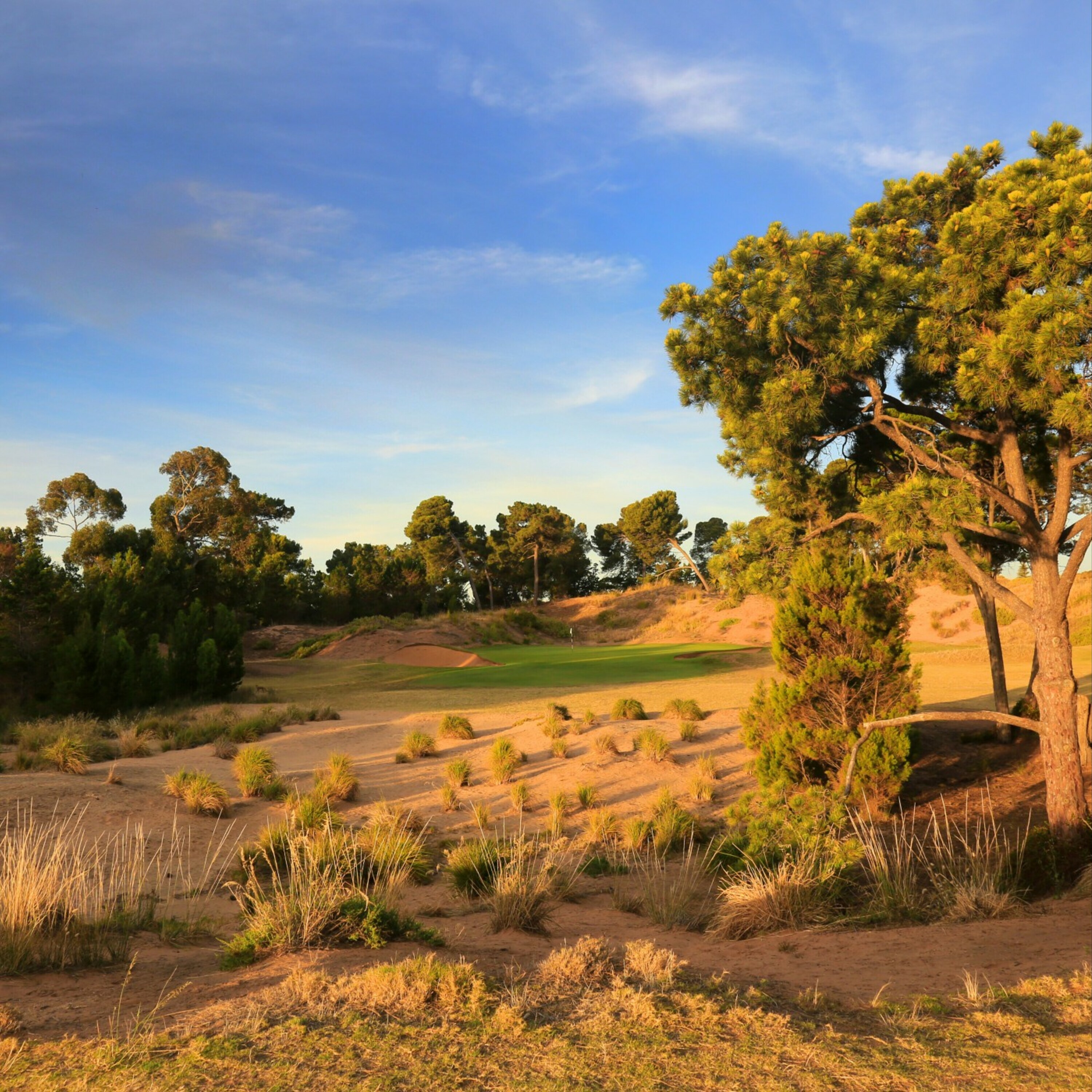 Nathan Bennett - Superintendant @ Royal Adelaide Golf Club episode artwork