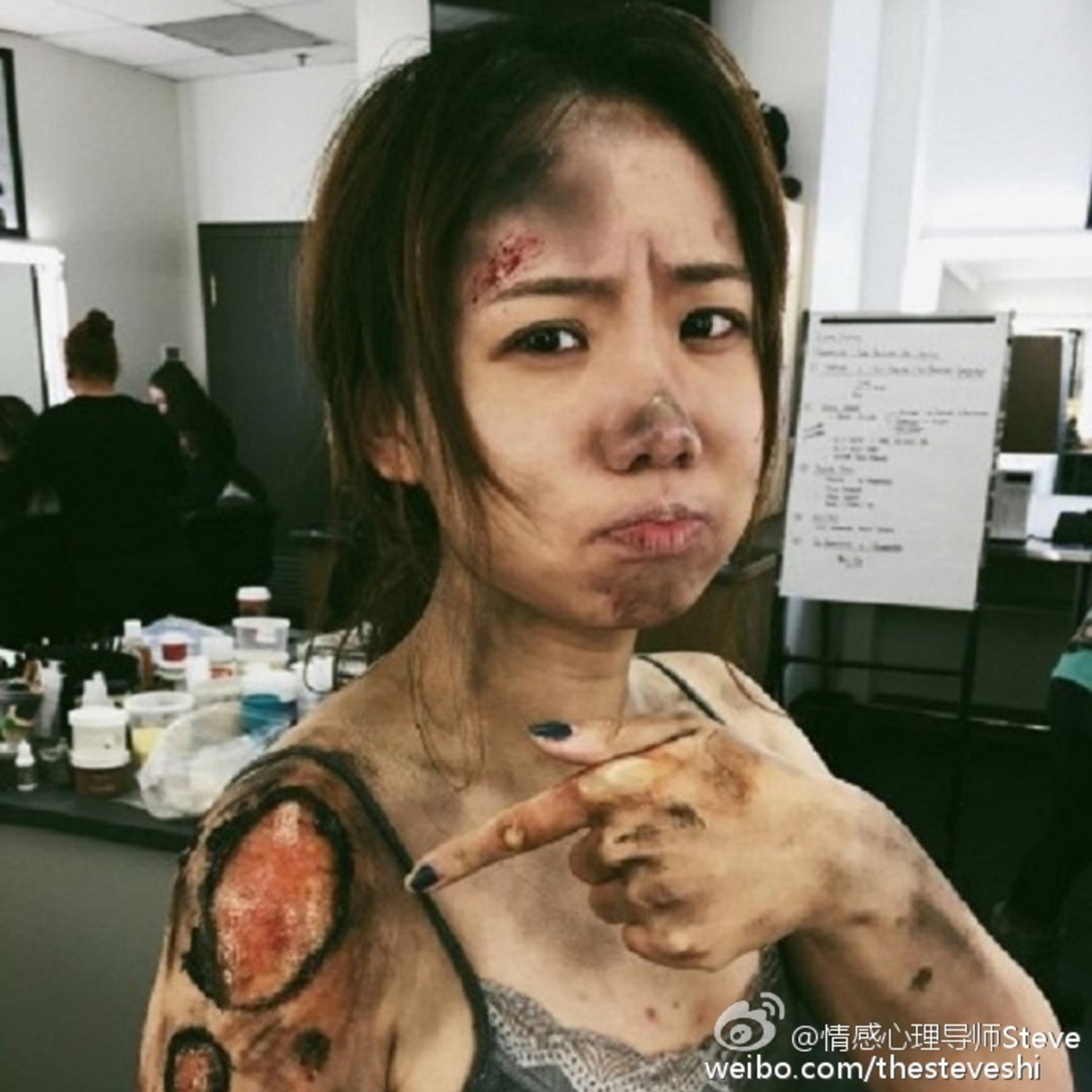 Steve说02期-Sylvia Wang