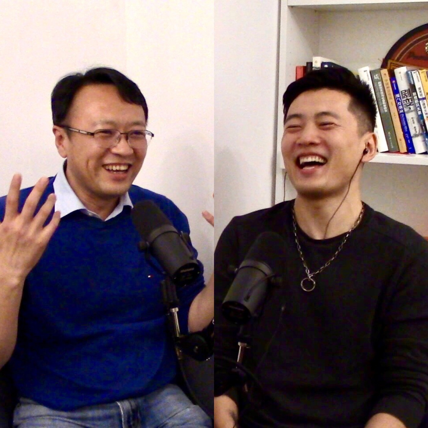 Steve说213期 - 施展 - 如何在历史学里找到很嗨的感觉？