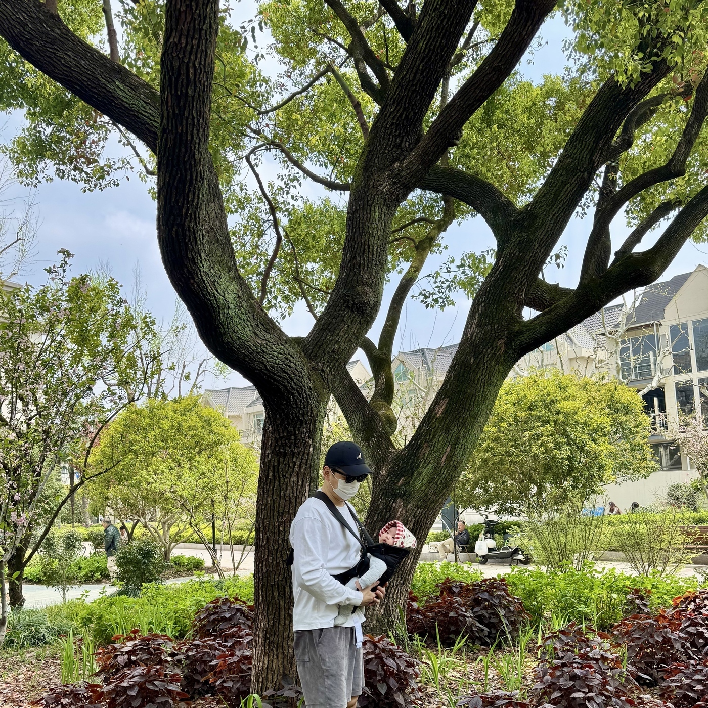 史蒂夫说459期 - 心理科普：为什么40多岁做心理咨询，回报远高于20岁 