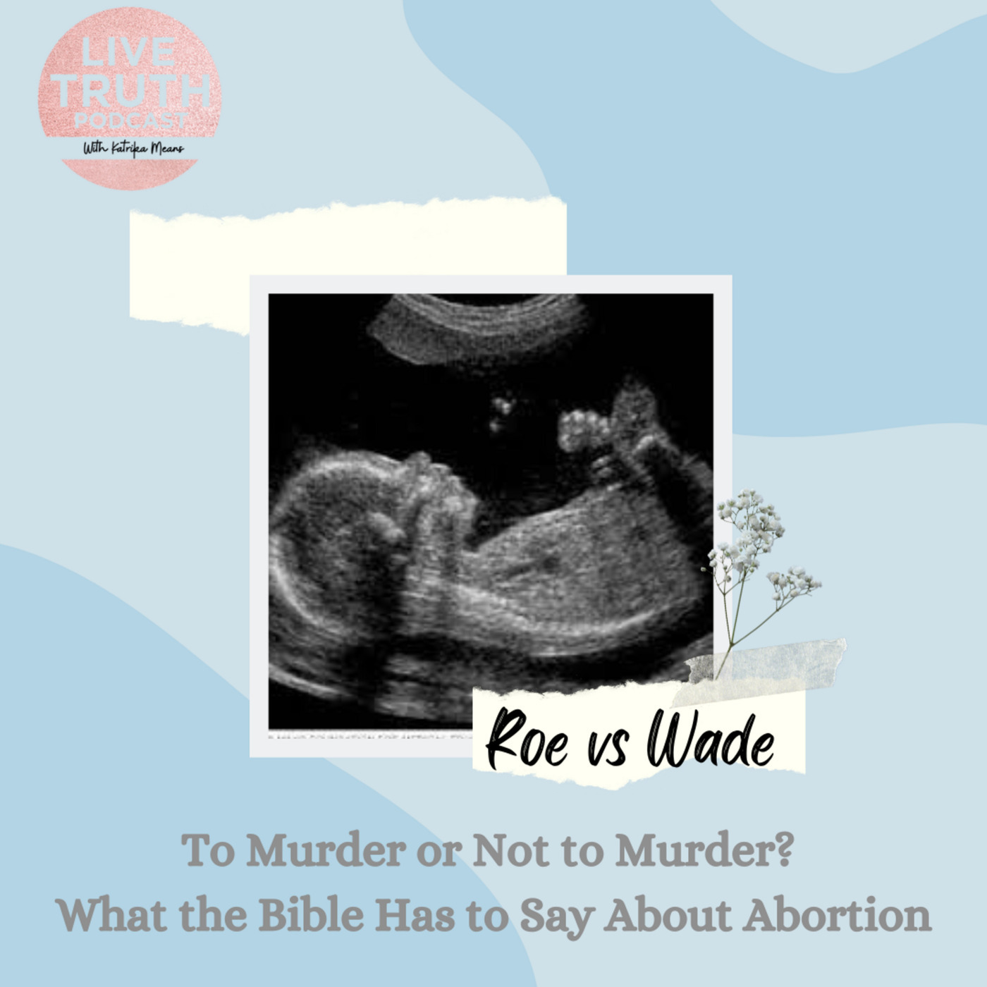 Roe vs Wade ~ What the Bible Has to Say About Abortion