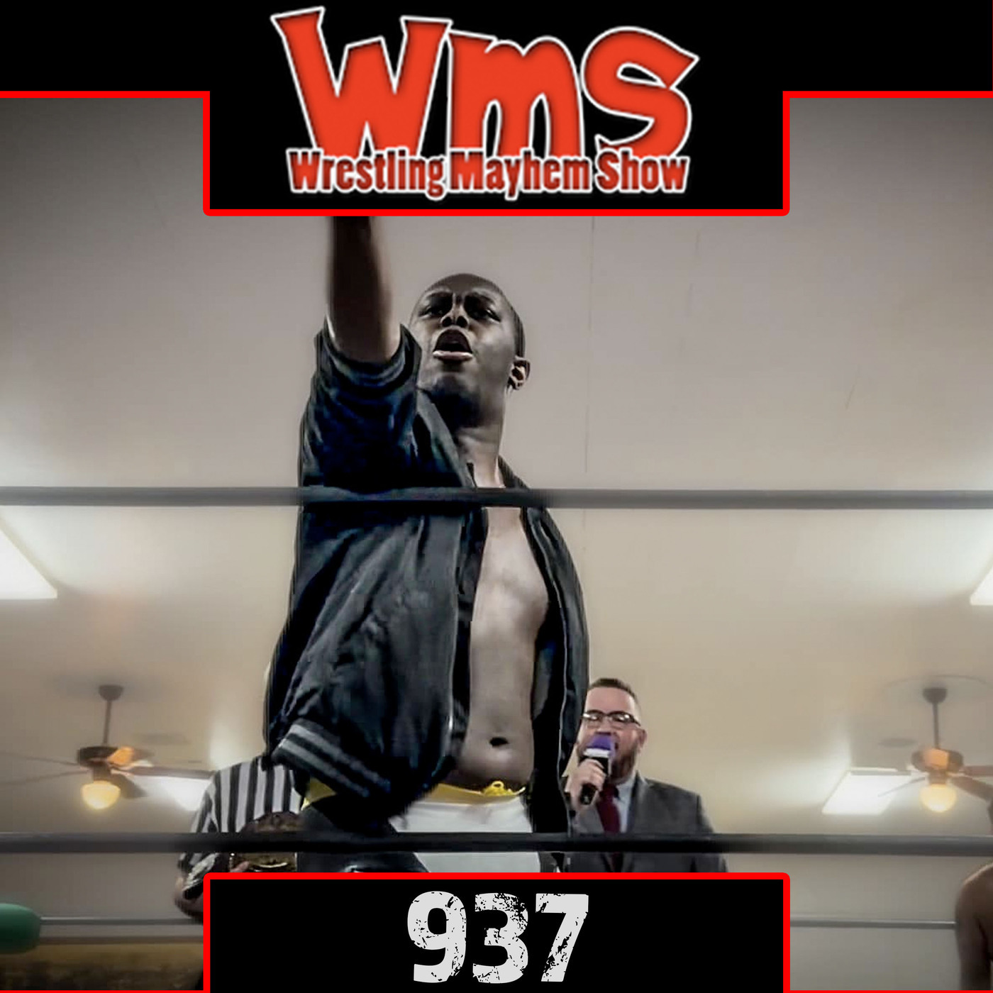 From Rings to Art Galleries: Wrestling's Creative Side with Zeke Mercer | Wrestling Mayhem Show 937