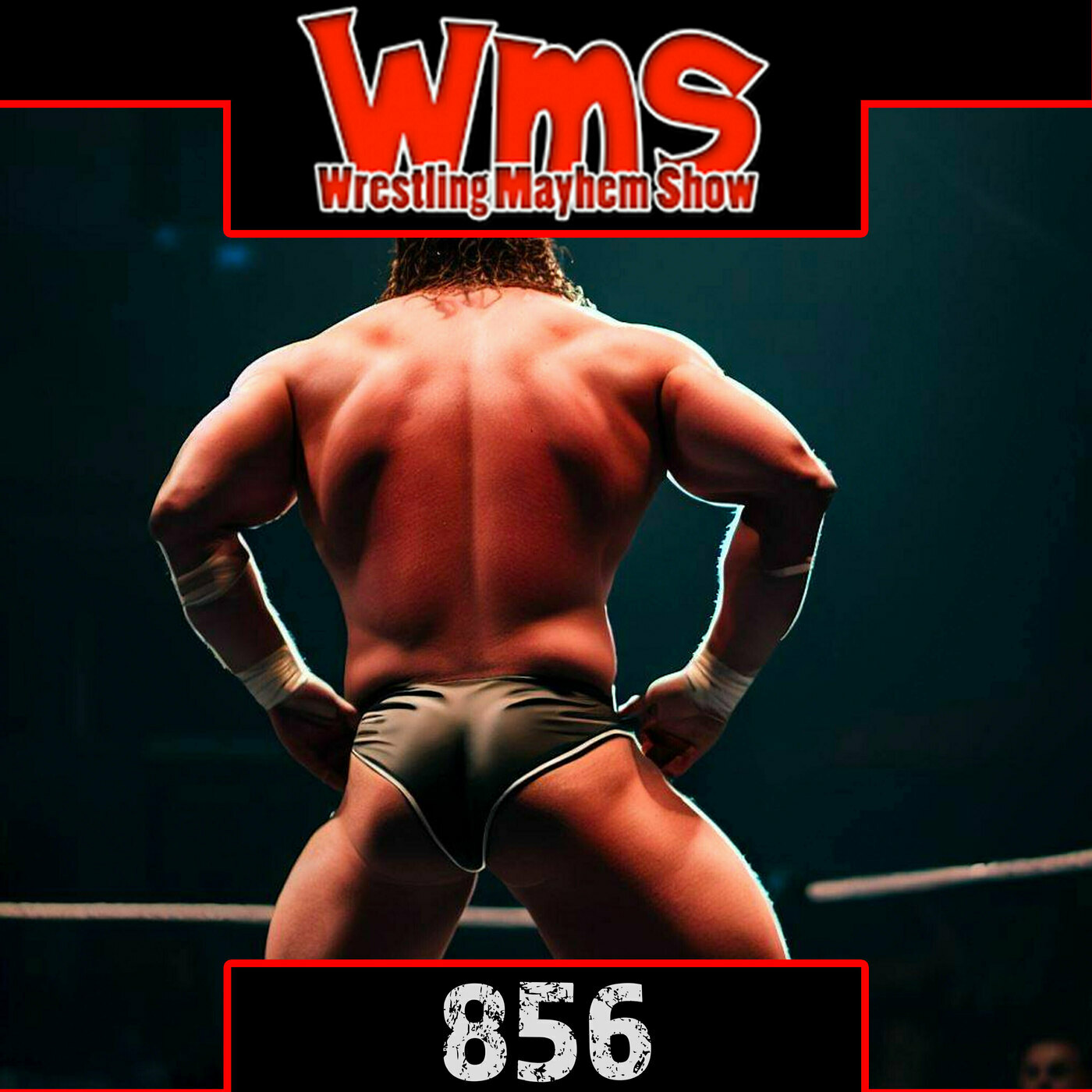 Respect a Nice Dumper | Wrestling Mayhem Show 856
