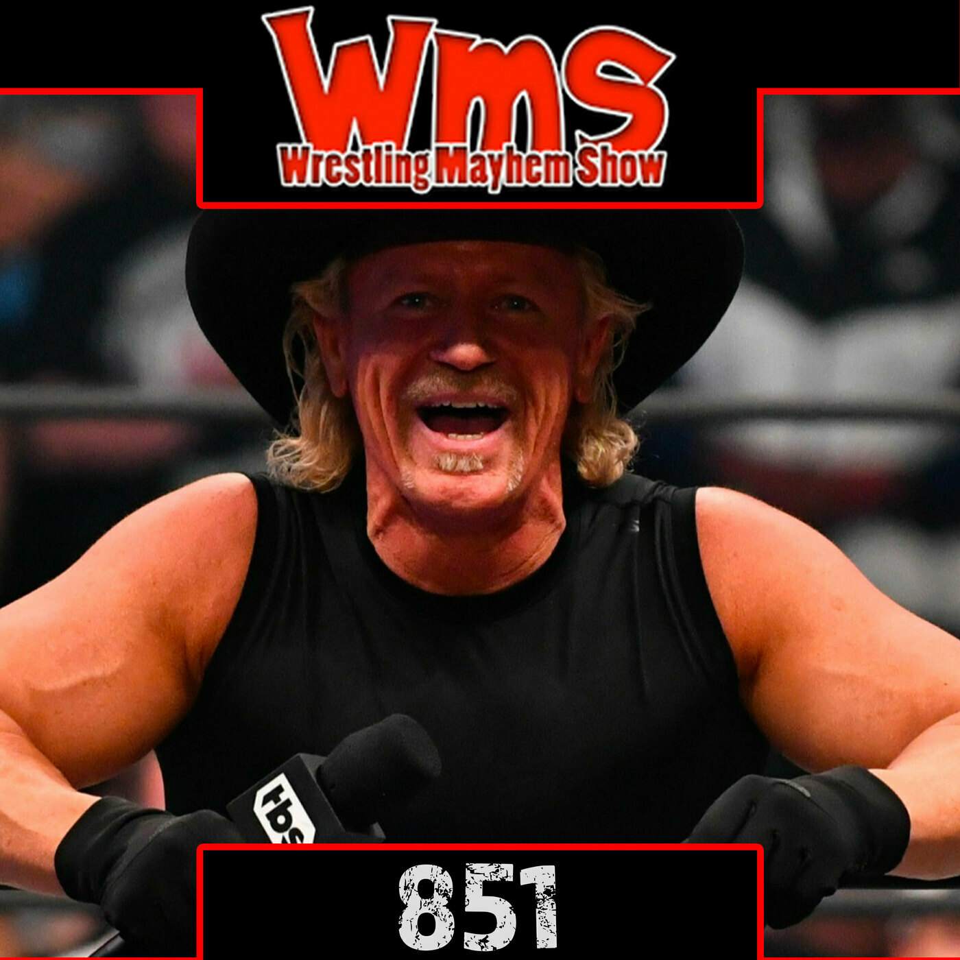 Wrestling Mayhem Show 851: New Best. Old Scars