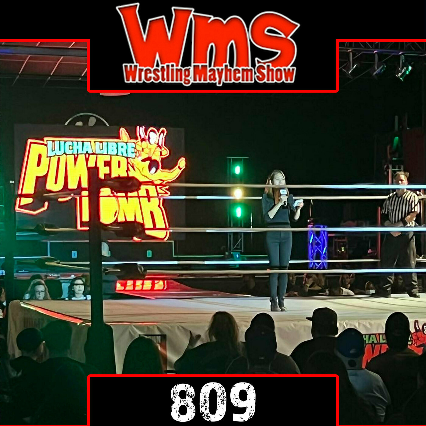 Wrestling Mayhem Show 809: Hard Times At The Gathering Of The Juggalos 