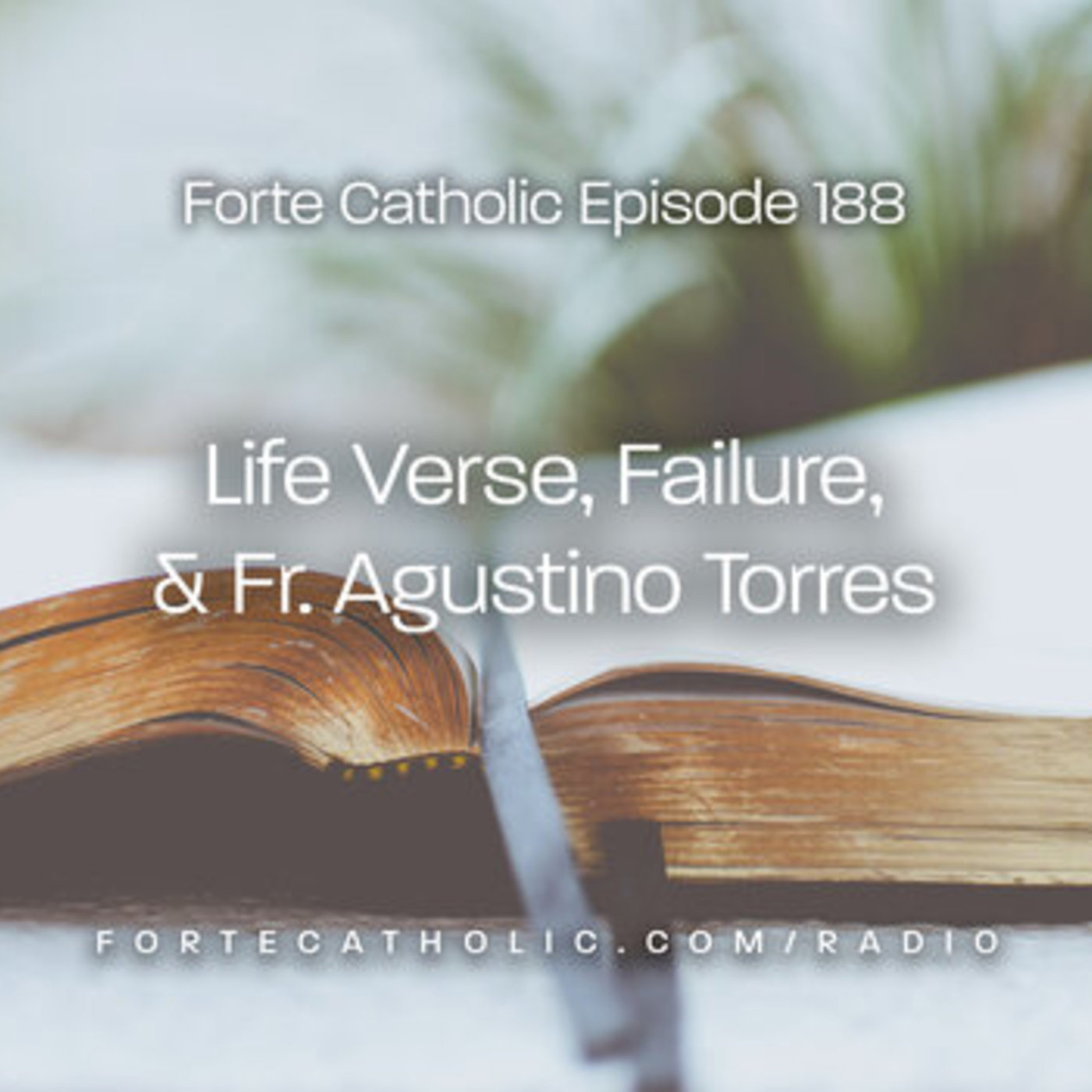 Life Verse, Failure & Fr. Agustino Torres