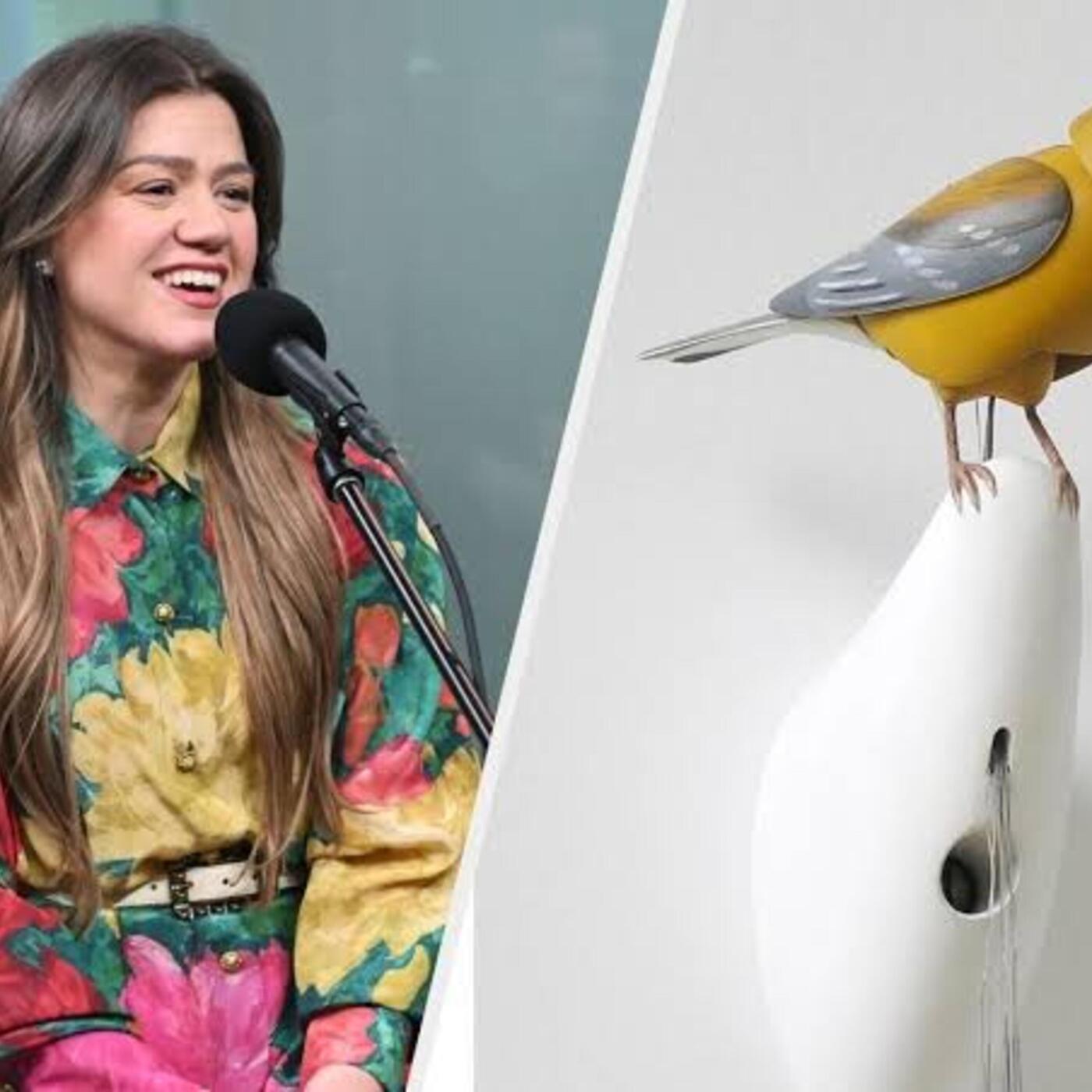 More McGrady with Katie : Kelly Clarkson v. Art of Play: the social media kerfuffle & audience calls 