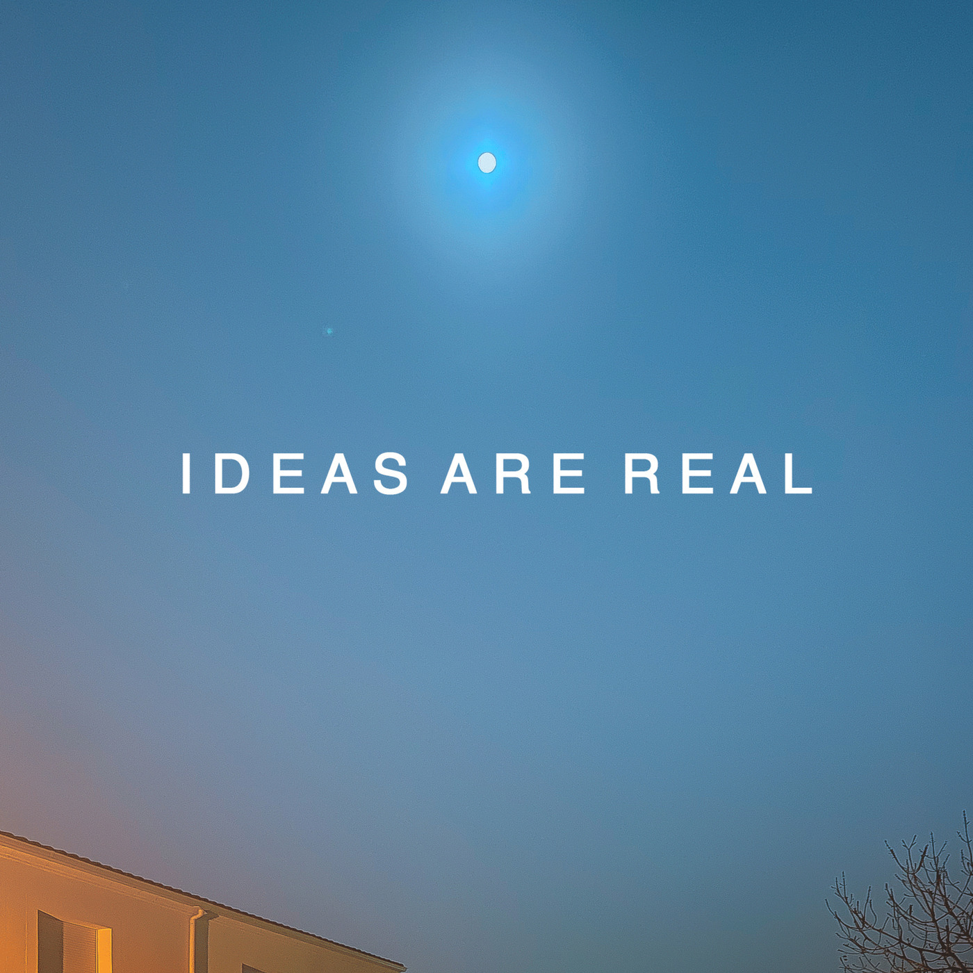 Ideas Are Real
