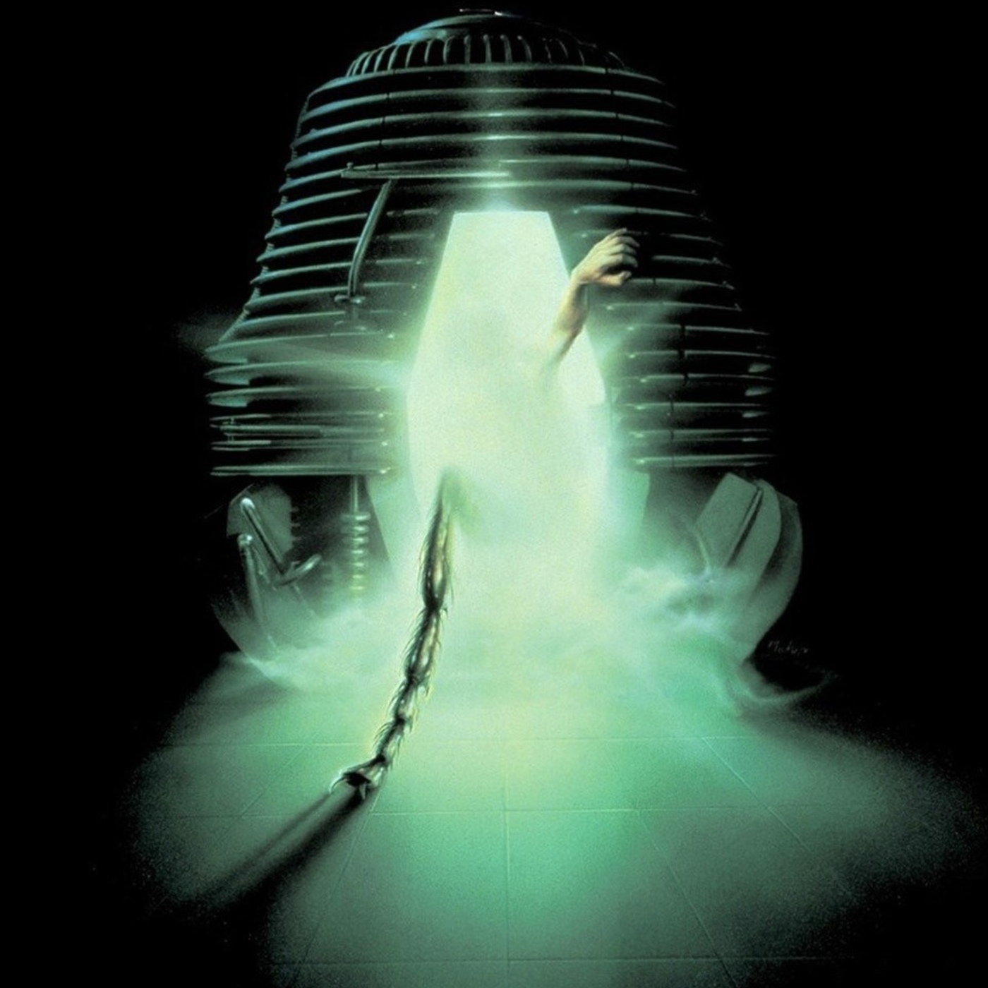 The Fly
