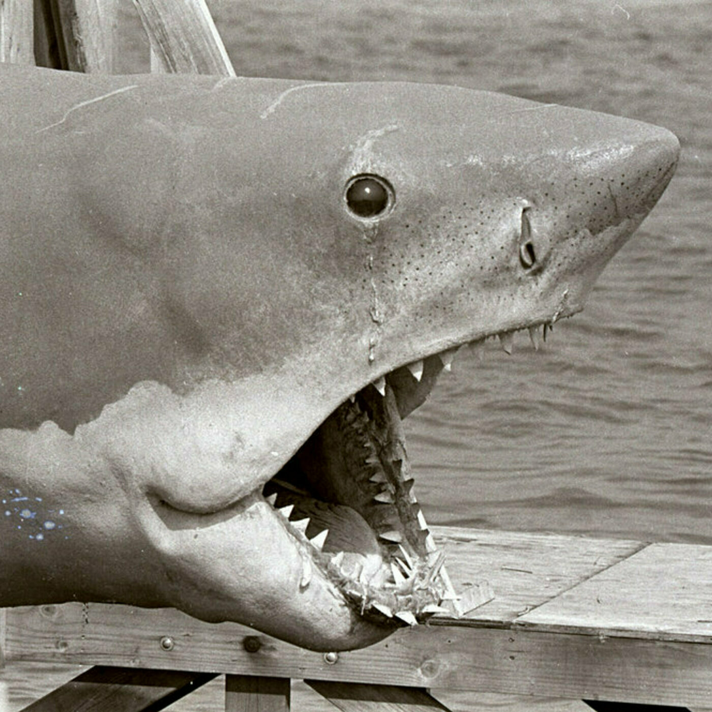 Marty Milner - Construction Foreman on "JAWS"