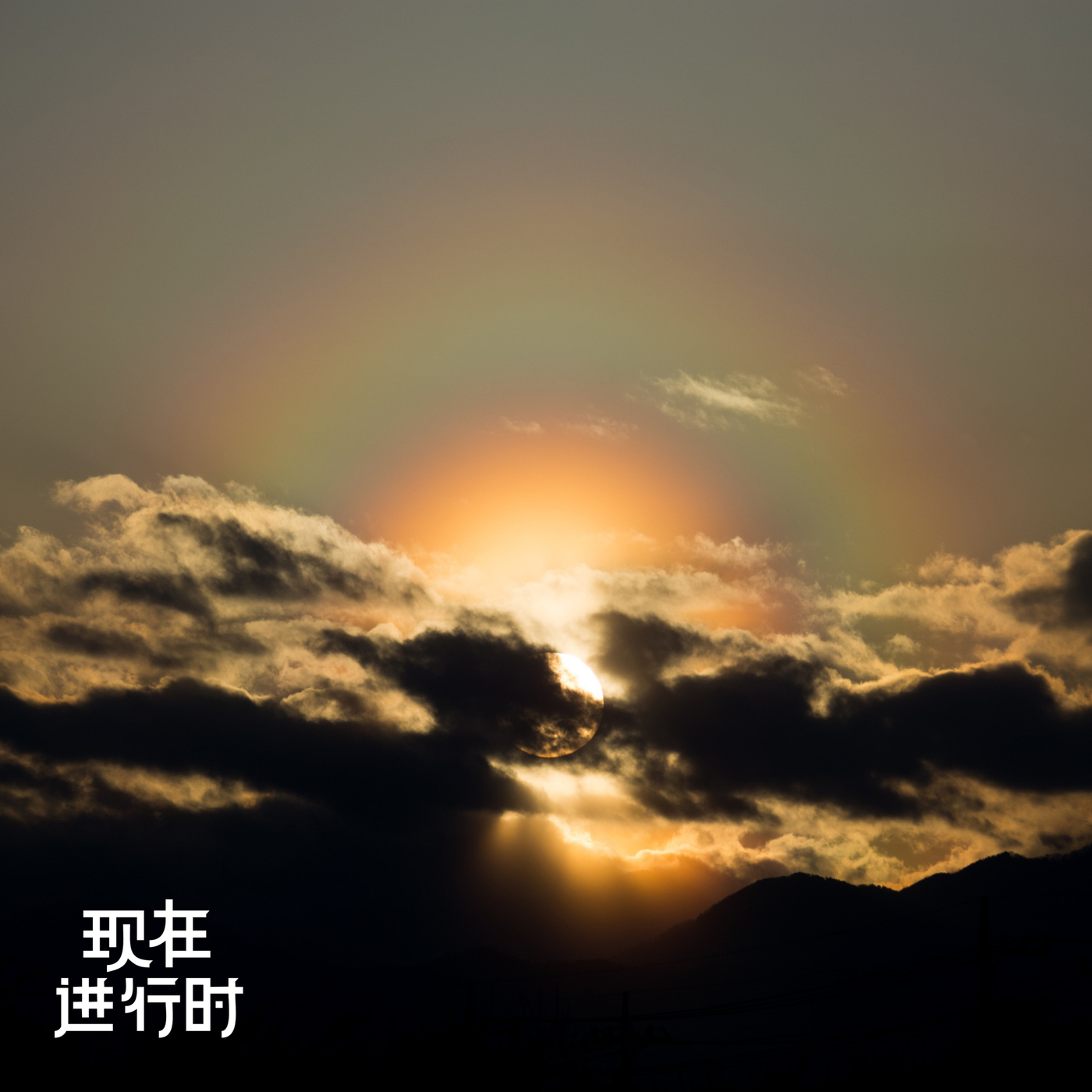 Vol.77 为什么解决花粉症这么难？这是个社会问题！