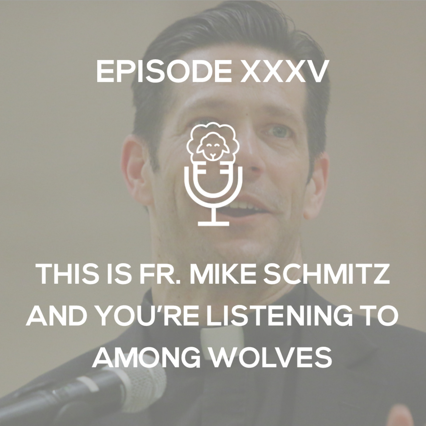 Episode XXXV - This is Fr. Mike Schmitz and You're Listening to Among Wolves