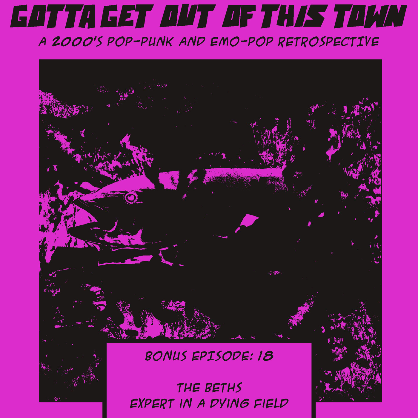 Bonus Episode 18: The Beths - Expert in a Dying Field