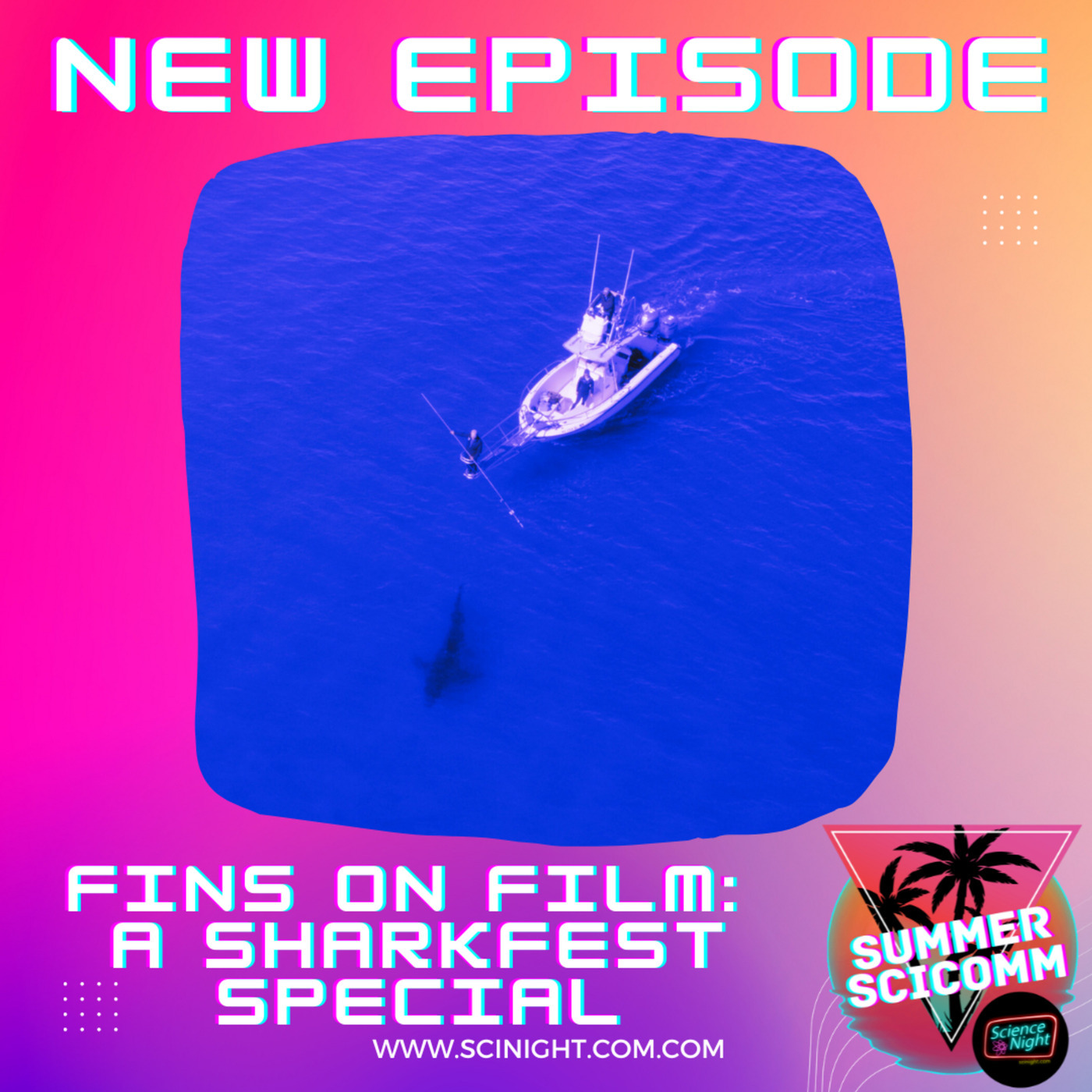 Fins on Film: A Sharkfest Special